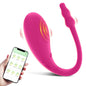 VIBRADOR PAUL